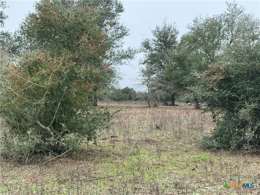 8 FM 2814