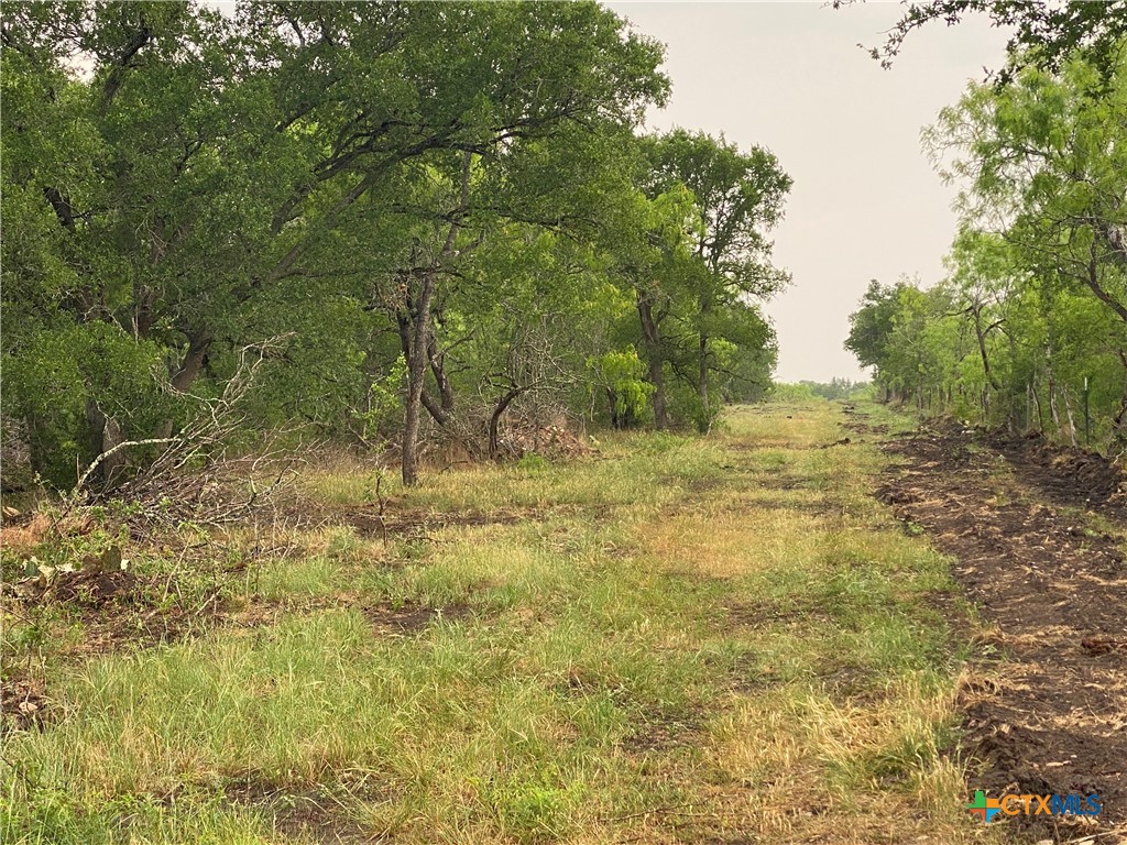 8 FM 2814