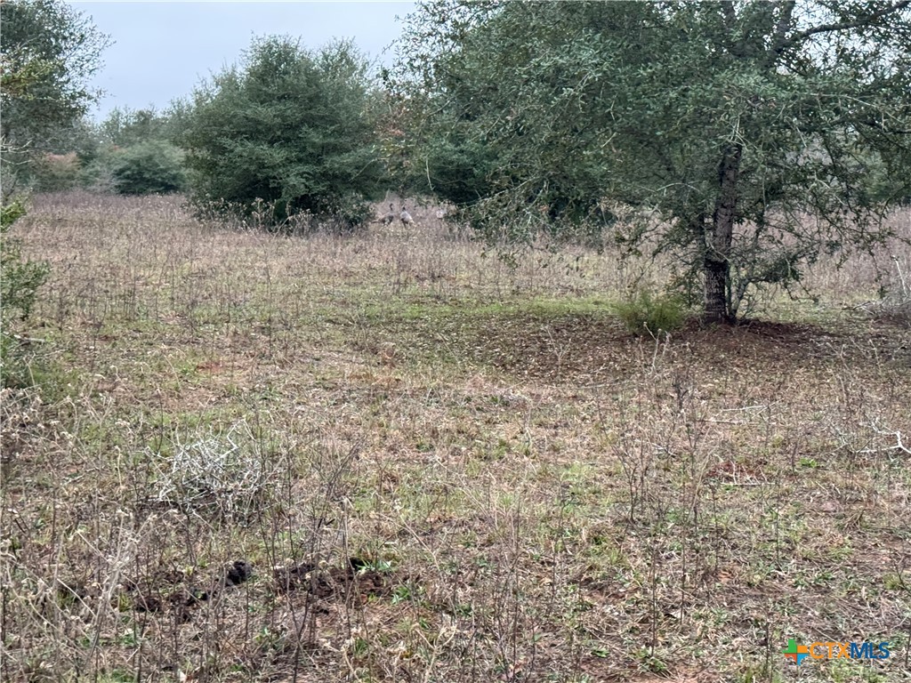 8 FM 2814