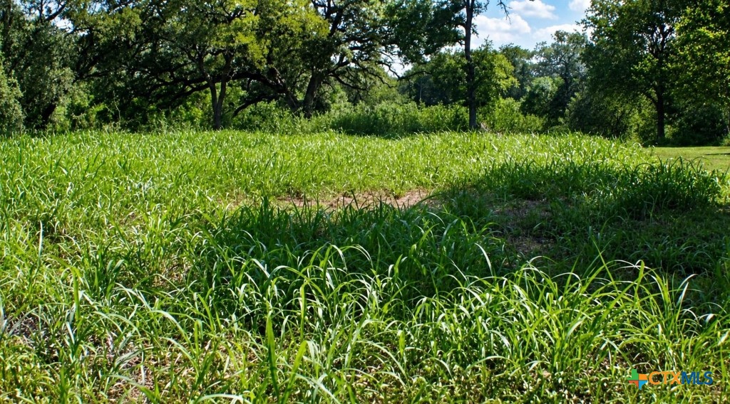 Lot 5 N Blk Avenue