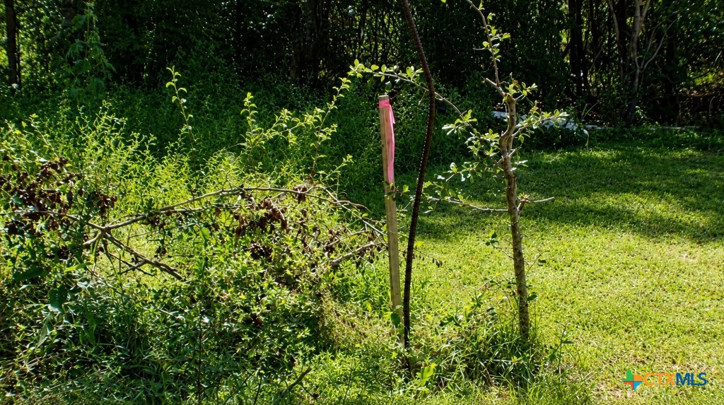 Lot 5 N Blk Avenue