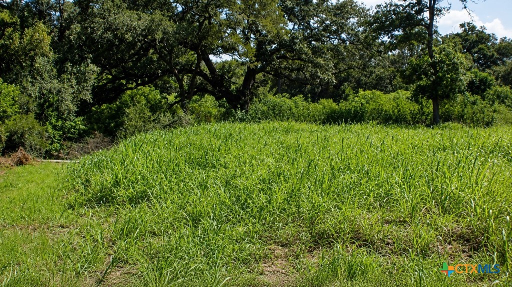 Lot 6 SW Blk 1st Avenue