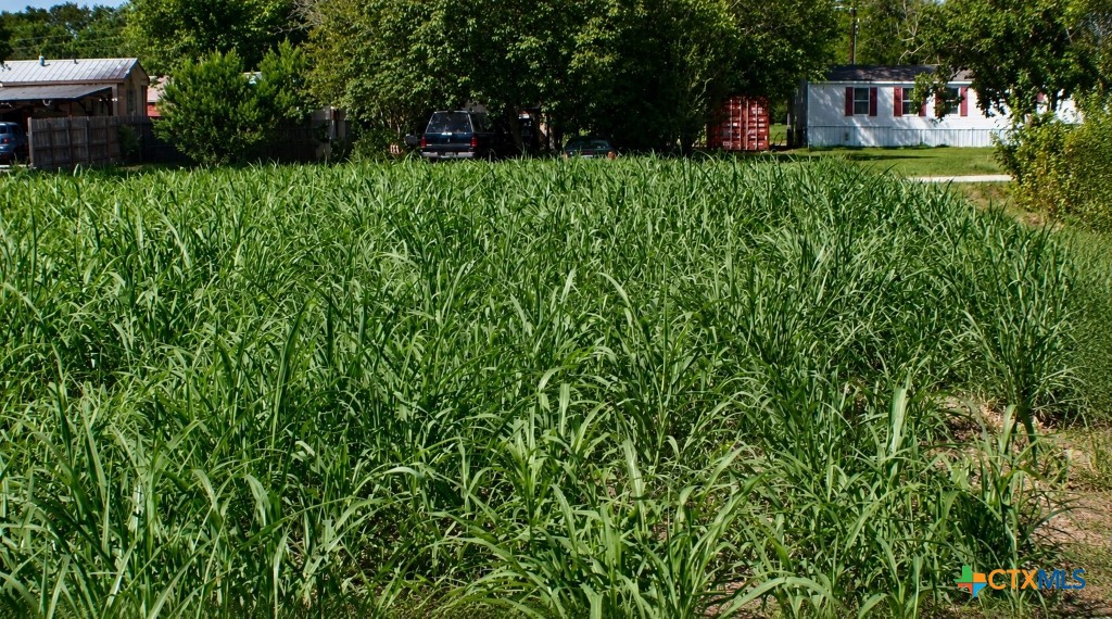 Lot 6 SW Blk 1st Avenue