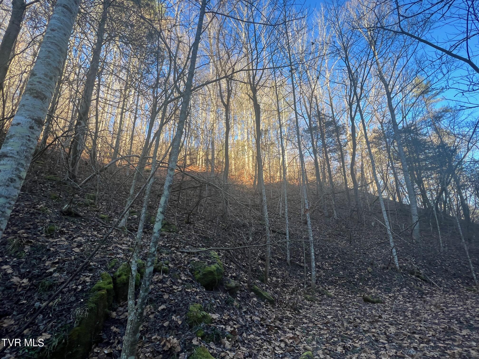 Lot 28 Norris Road