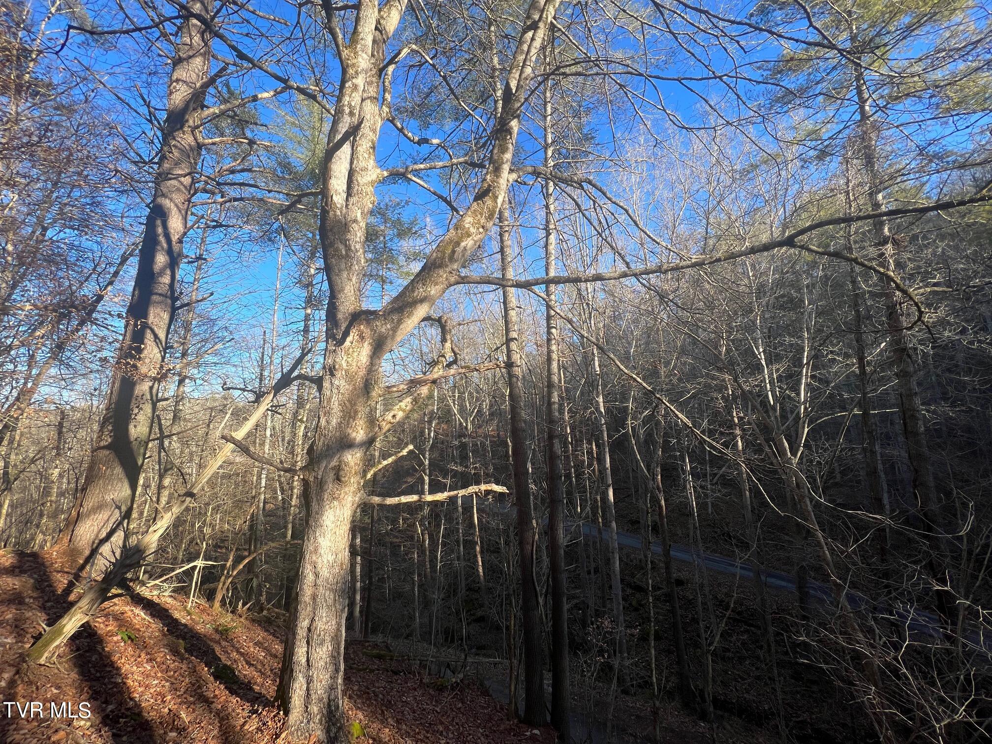 Lot 28 Norris Road