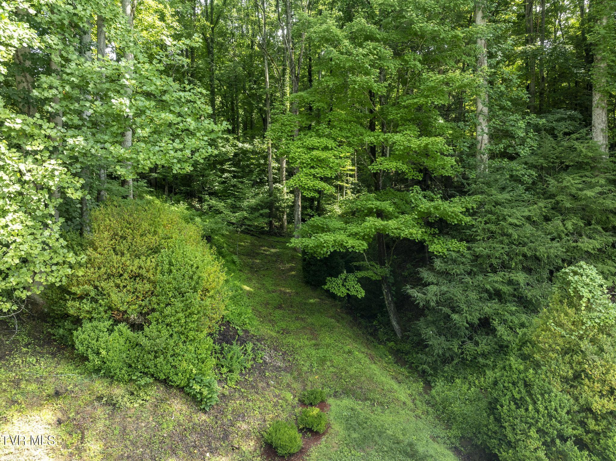 119 Suncrest Drive