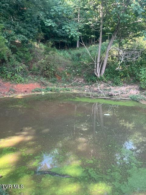 422 Looneys Gap Road