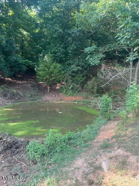 422 Looneys Gap Road