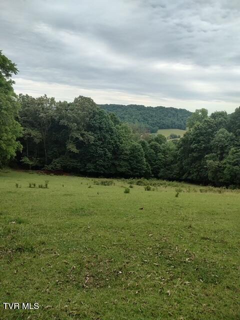 422 Looneys Gap Road