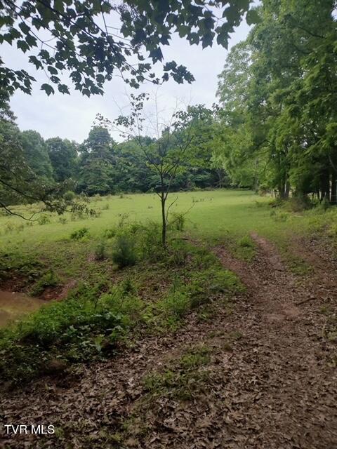 422 Looneys Gap Road