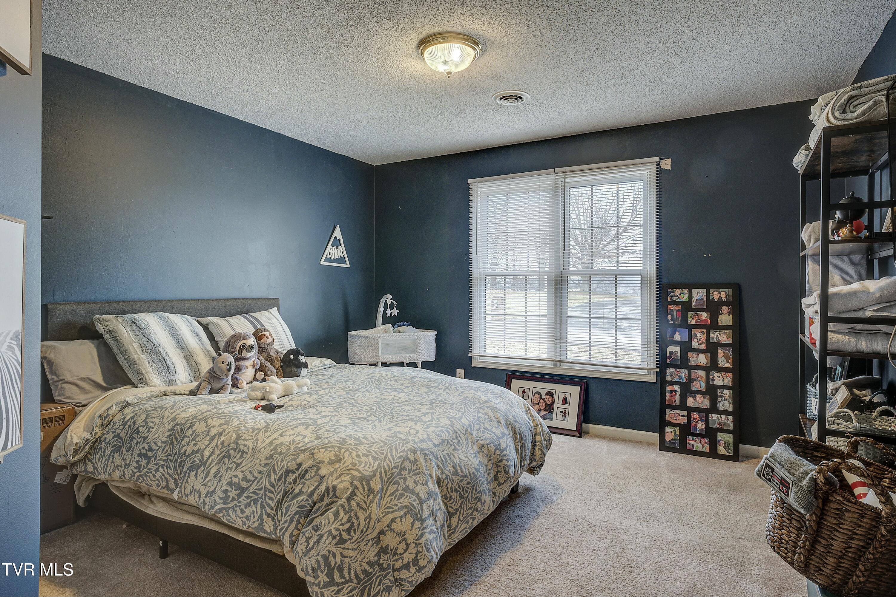 244 Bart Green Drive
