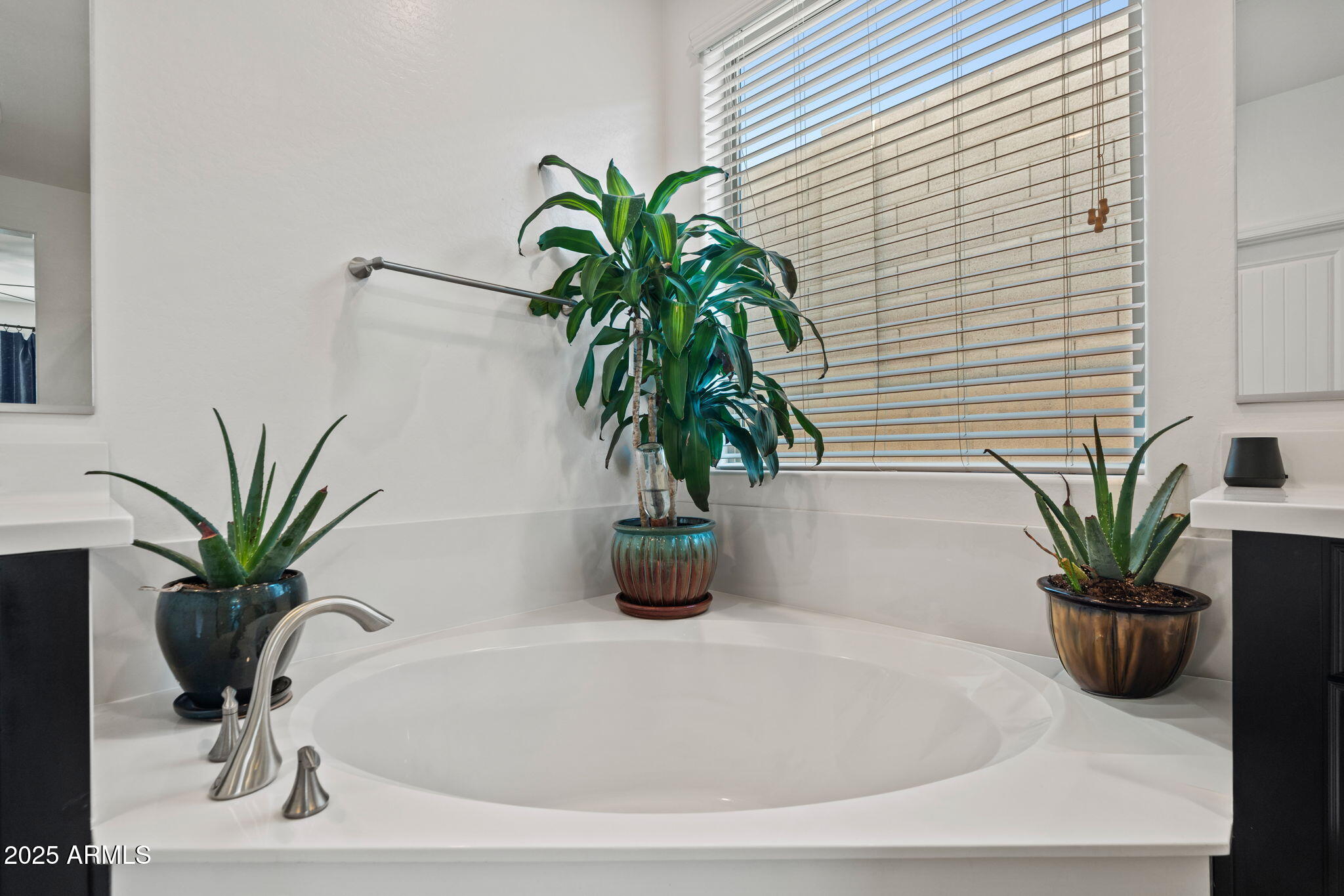 2929 W AMBER SUN Drive