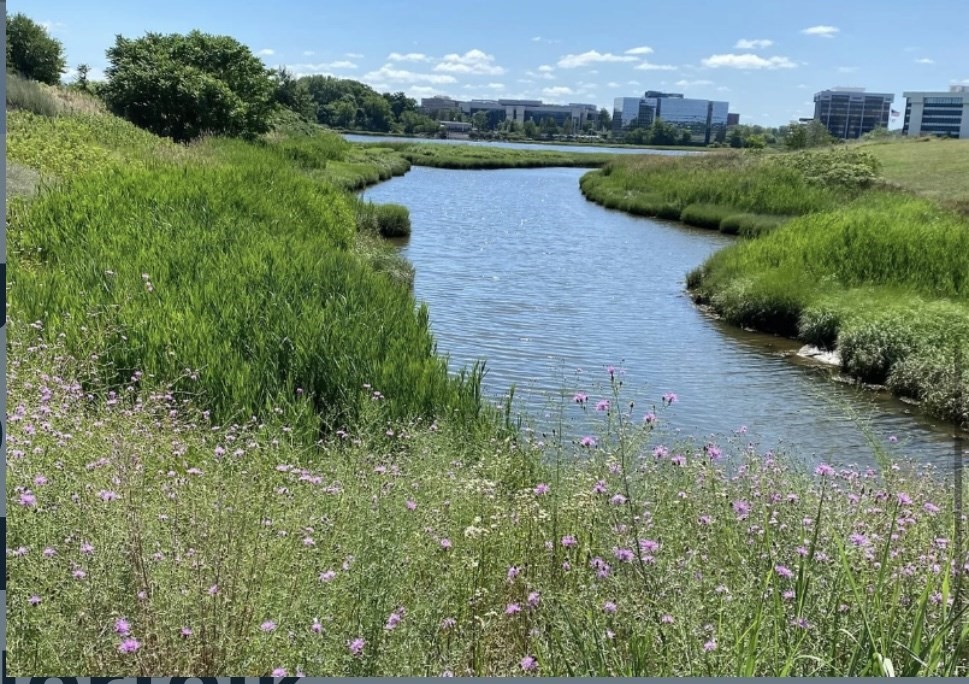 55 Port Norfolk St # 3