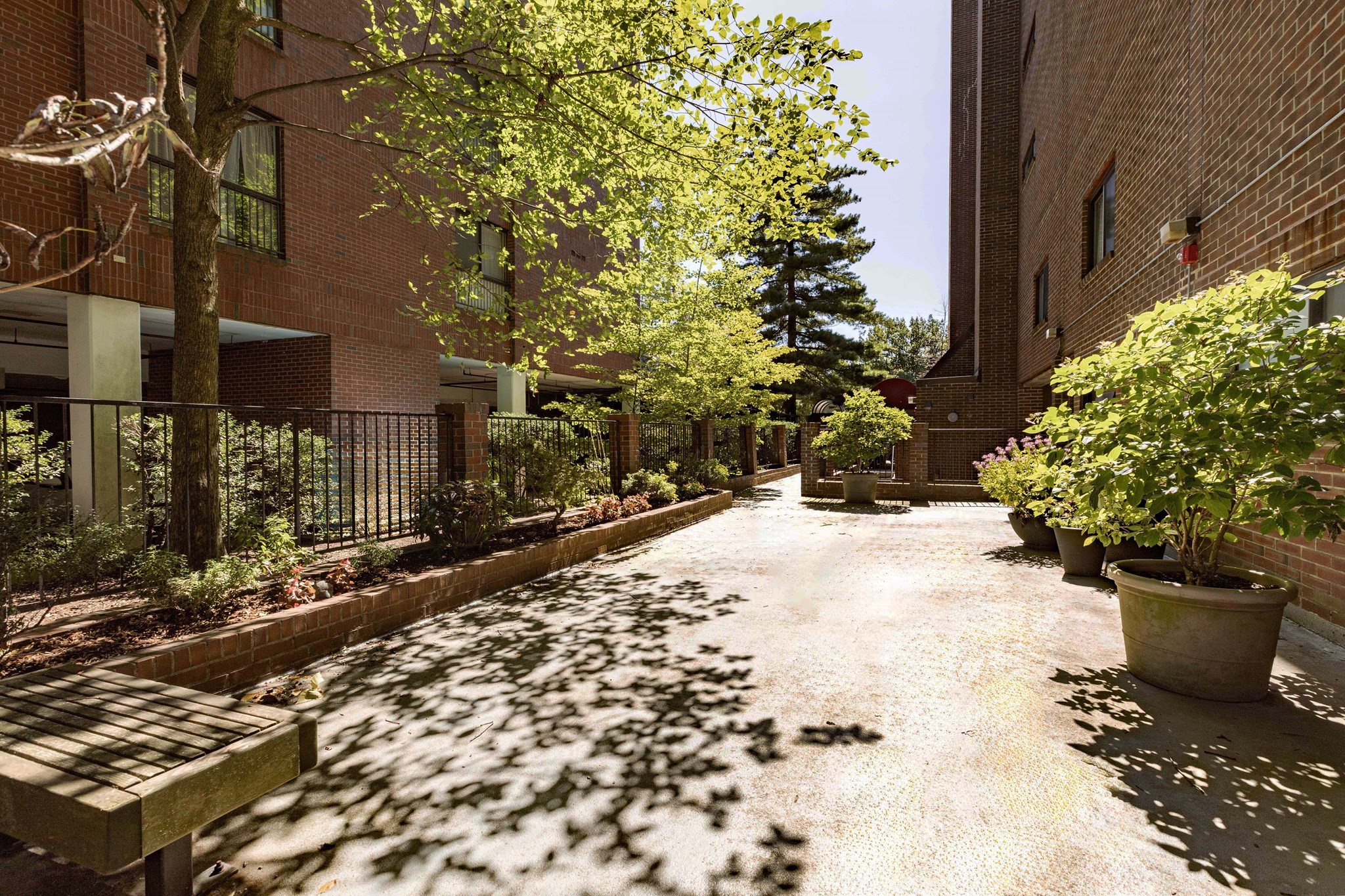 1856 Beacon Street Unit: PHD