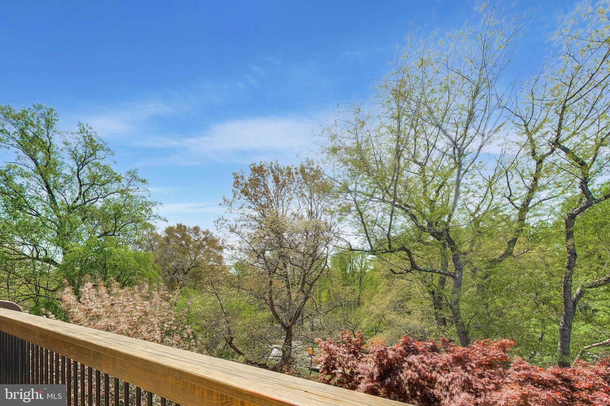 3810 N RICHMOND STREET