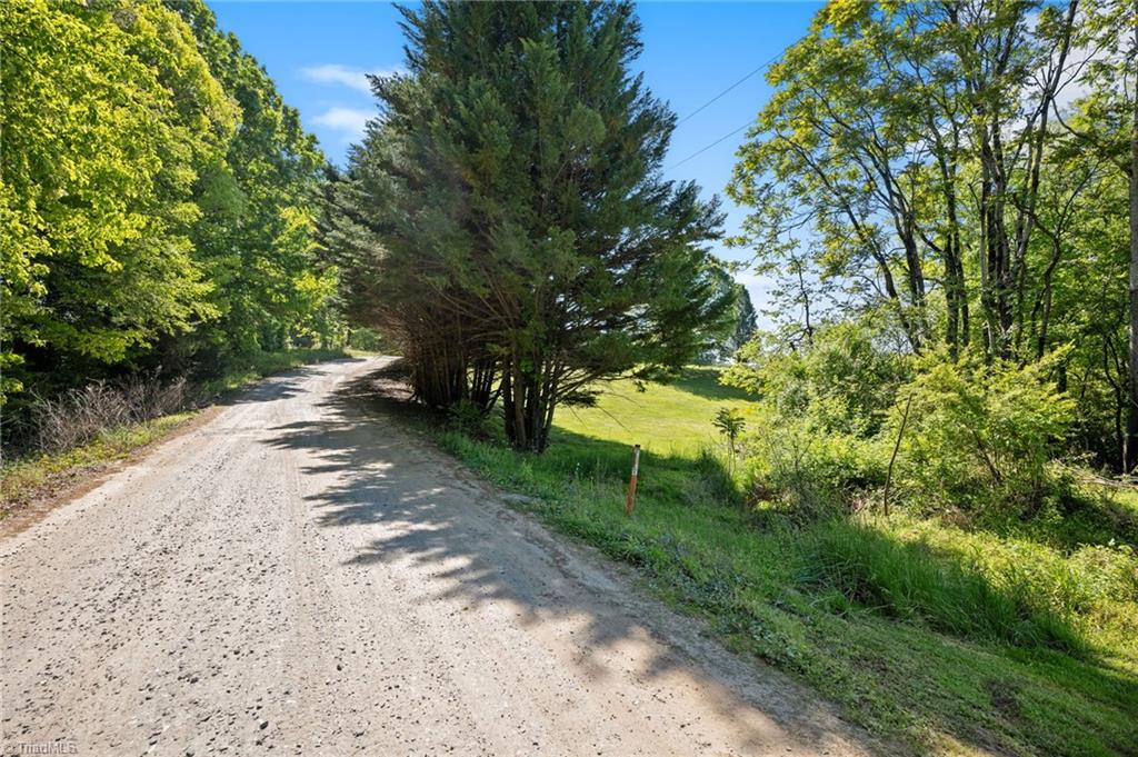 226 Green Meadow Lane