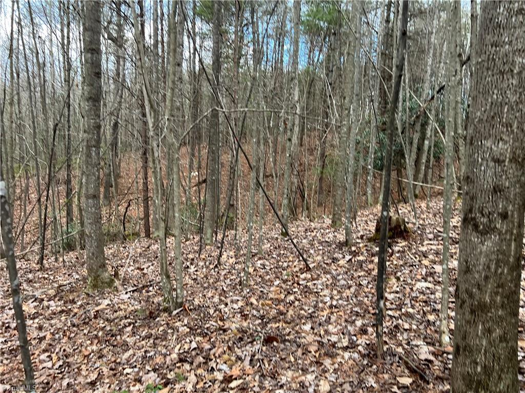 Lot 9 Fisher Valley Road