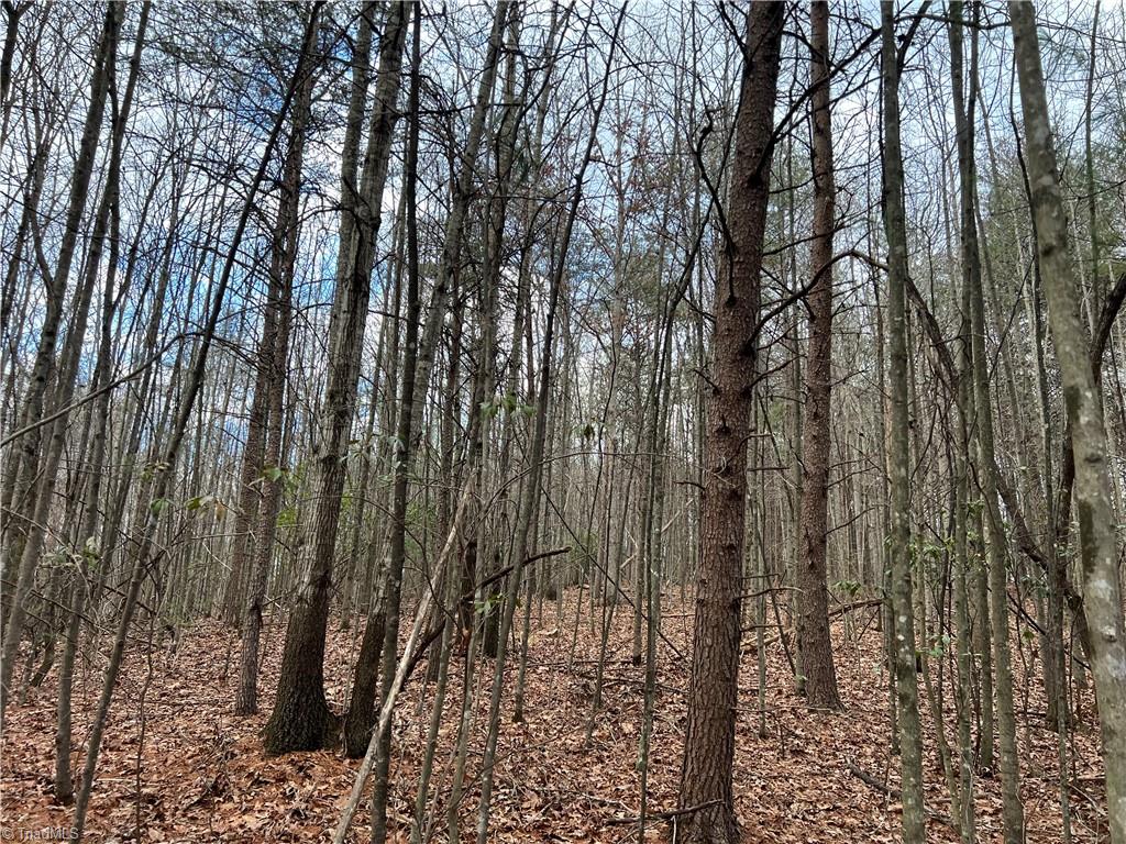 Lot 9 Fisher Valley Road