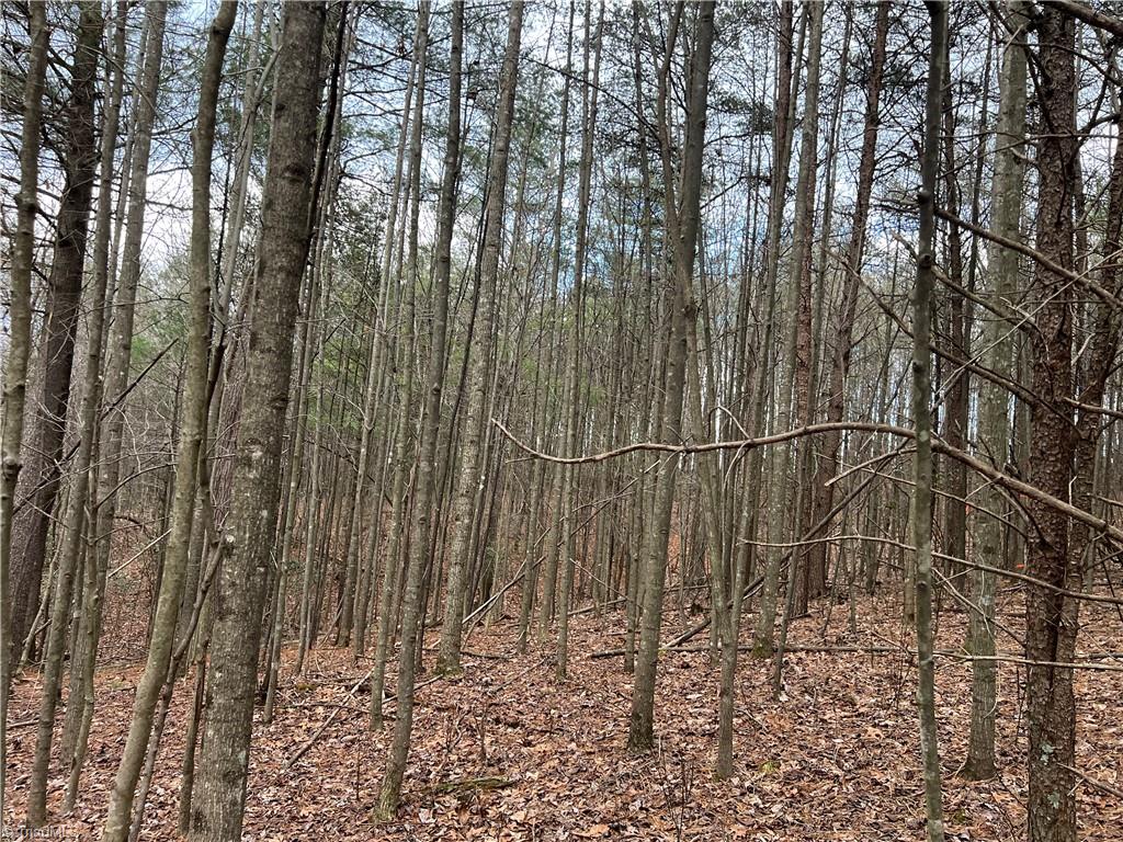 Lot 12 Fisher Valley Road