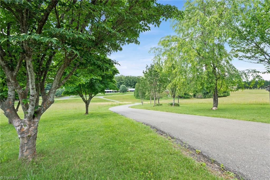 2022 McBride Road