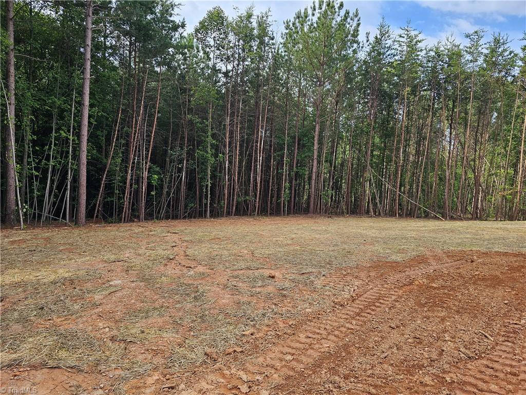 972 McBride Road