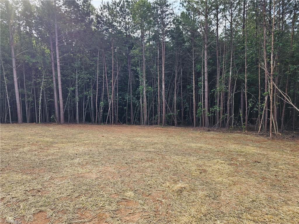 972 McBride Road