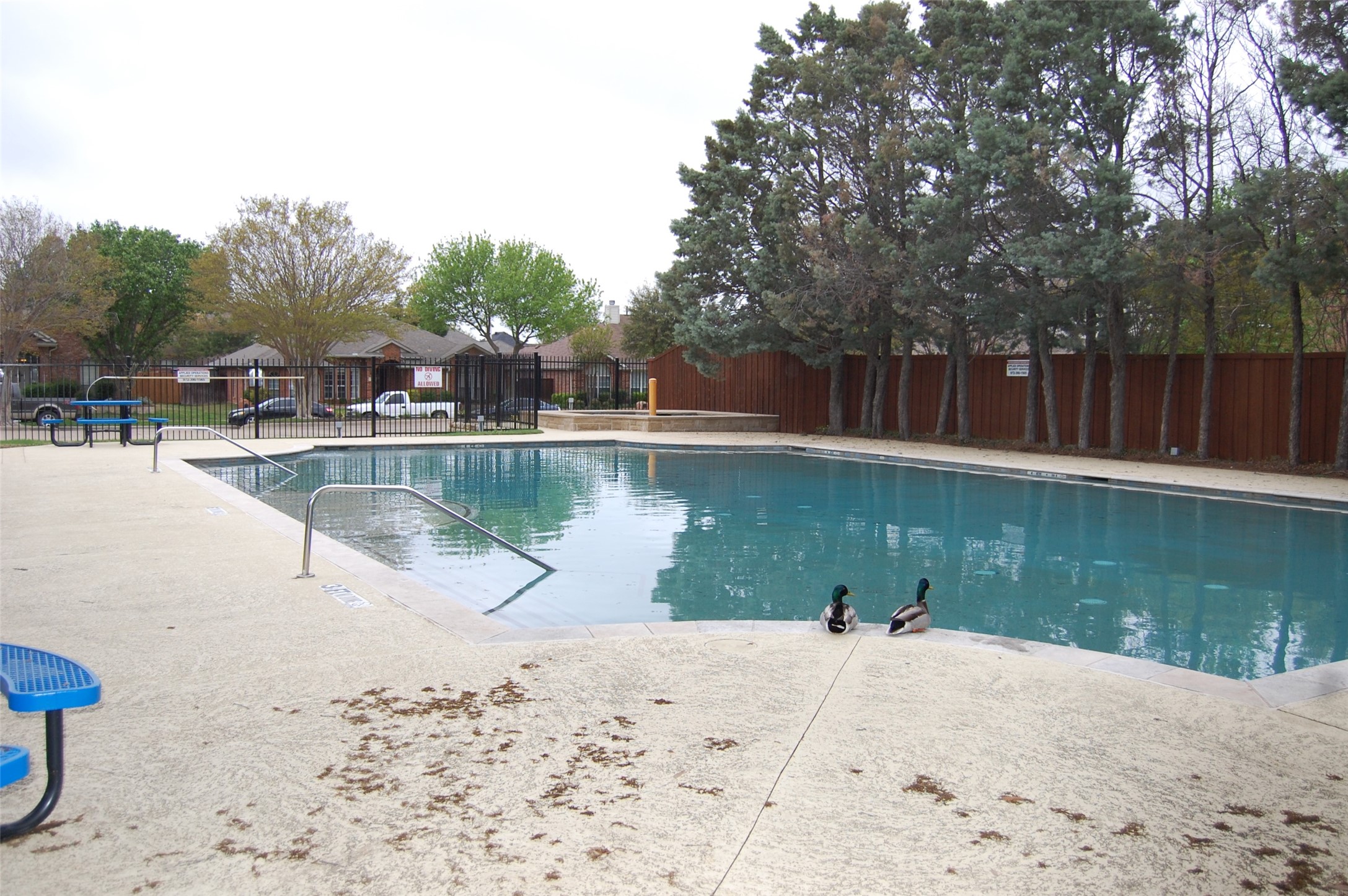 1513 Tanglewood Drive