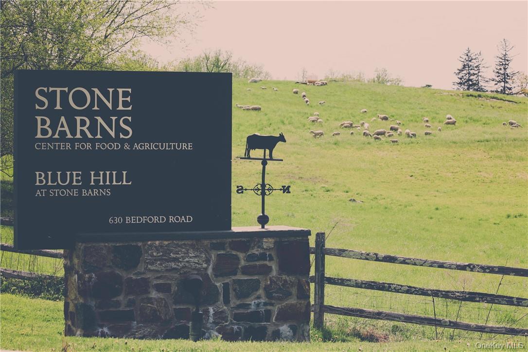 414 Benedict Avenue Unit: 1D