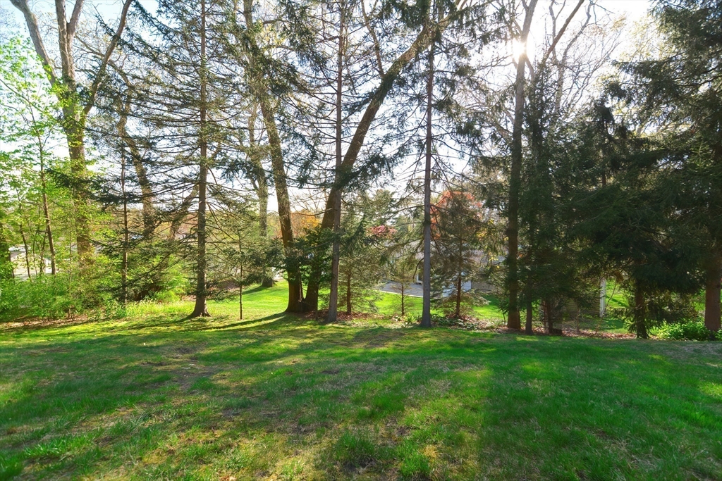 8 Catherine Dr