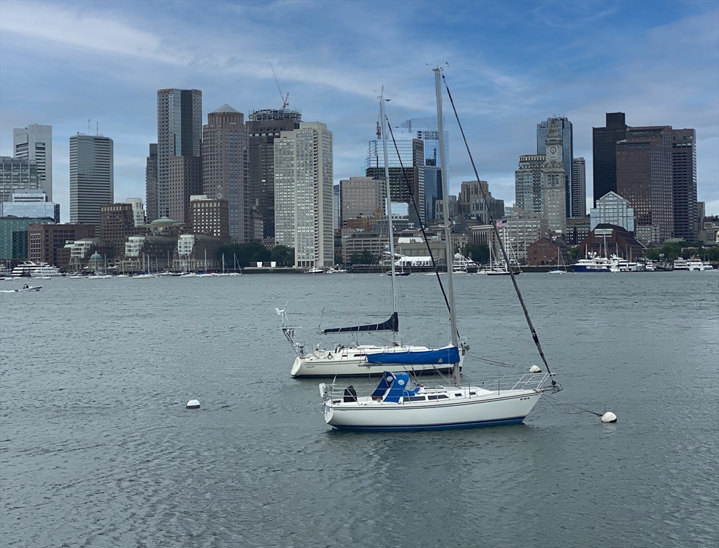 46 Geneva Street # 3