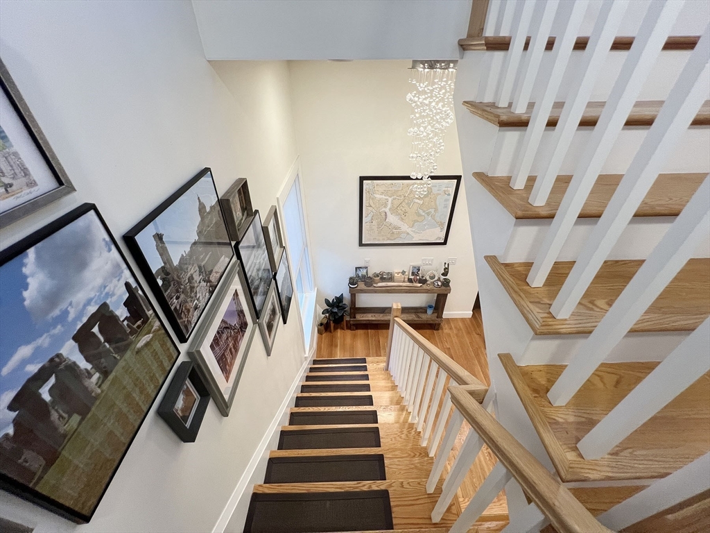 46 Geneva Street # 3
