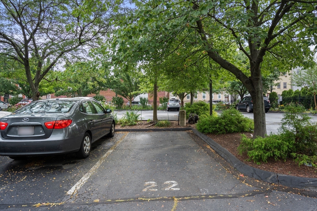 150 Orleans Street # 205