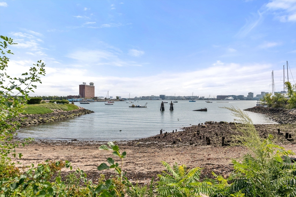 499 Sumner St. # 1 Unit: 1-1