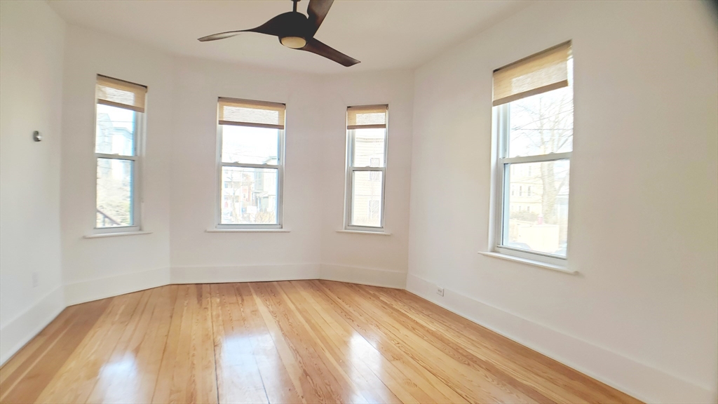 20 Tierney Street # 1