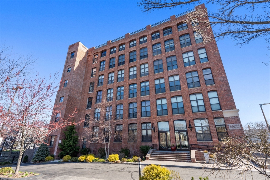 150 Orleans St. # 203
