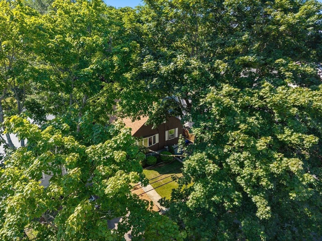 151 Wright Street