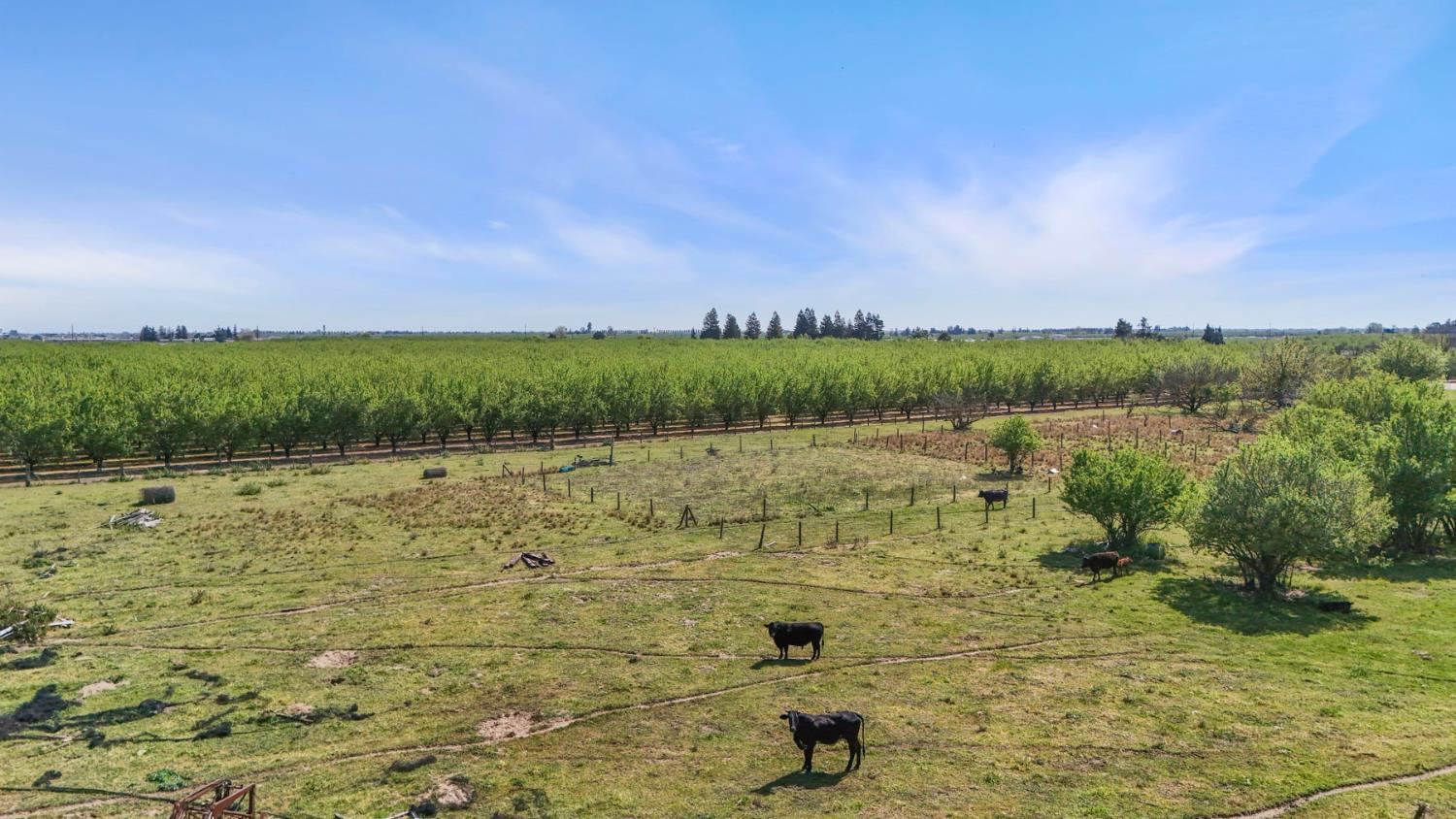 21398 Oleander Avenue