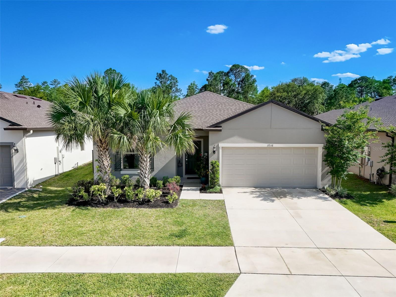 17116 BASSWOOD LN