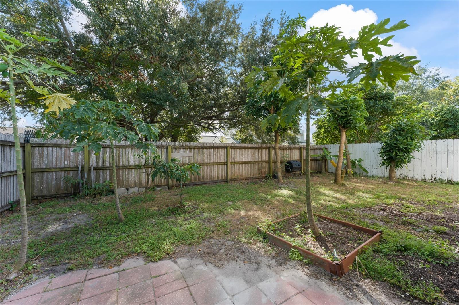 2374 BLUE SAPPHIRE CIR
