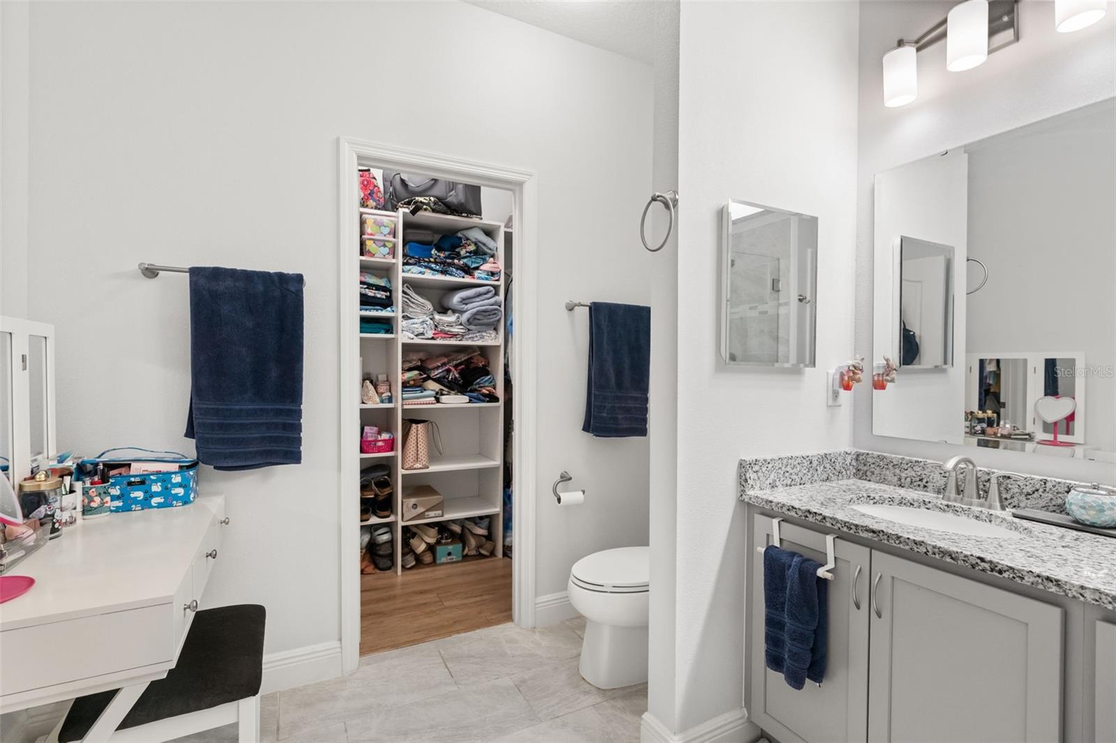 1731 WILSON PRAIRIE CIR