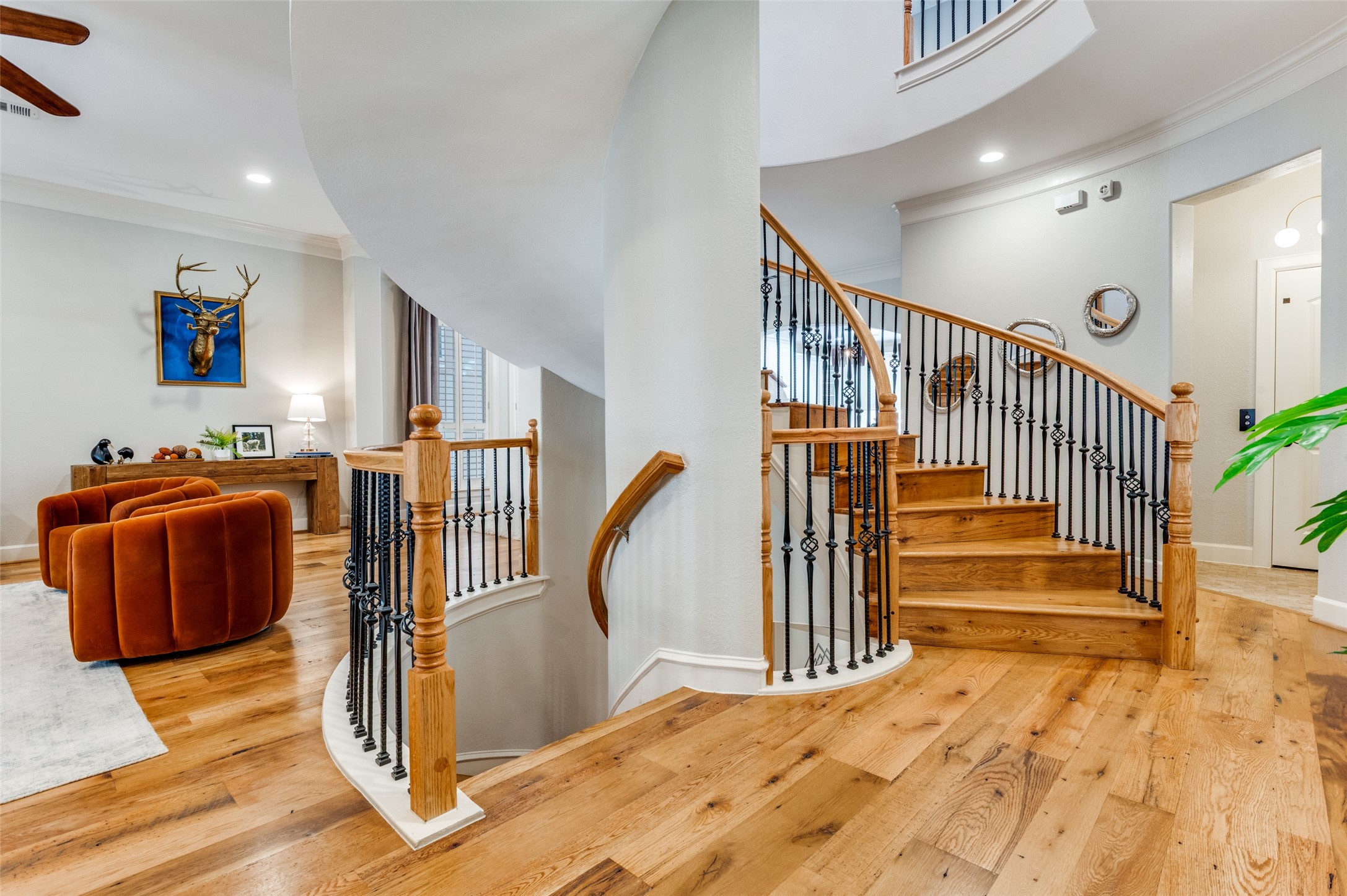 3310 Hall Court