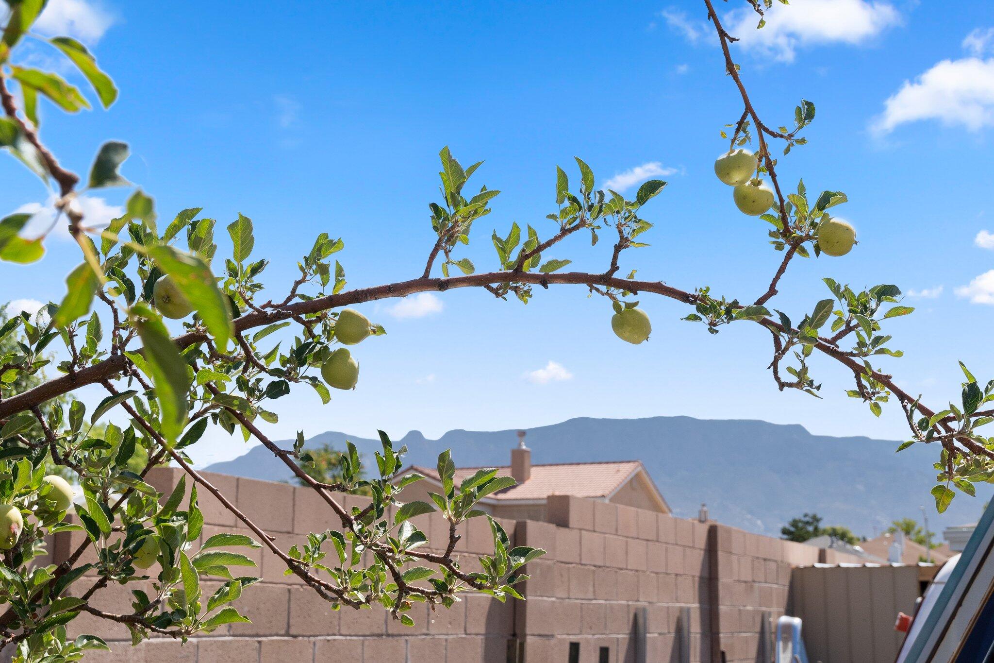 6615 Sonrisa Place NE