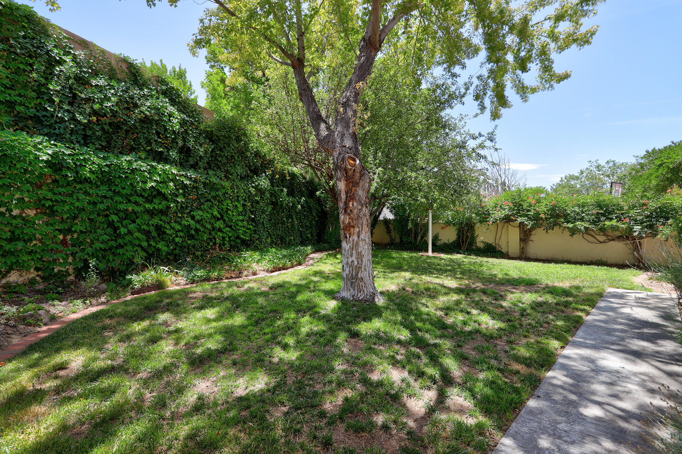 6100 Rosetree Place NE