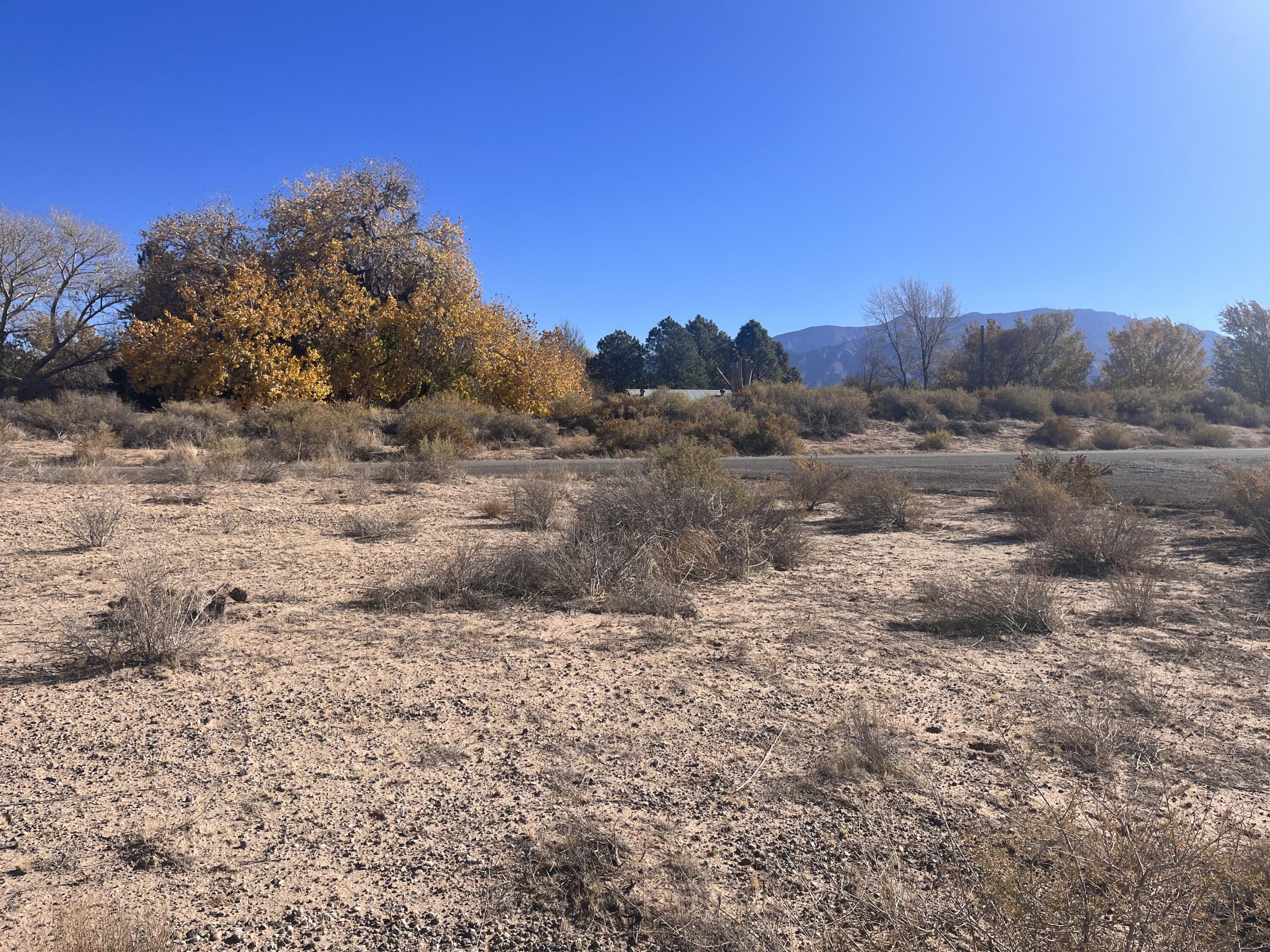 3.44 Ac Mesa Alta Subdvn Tbd