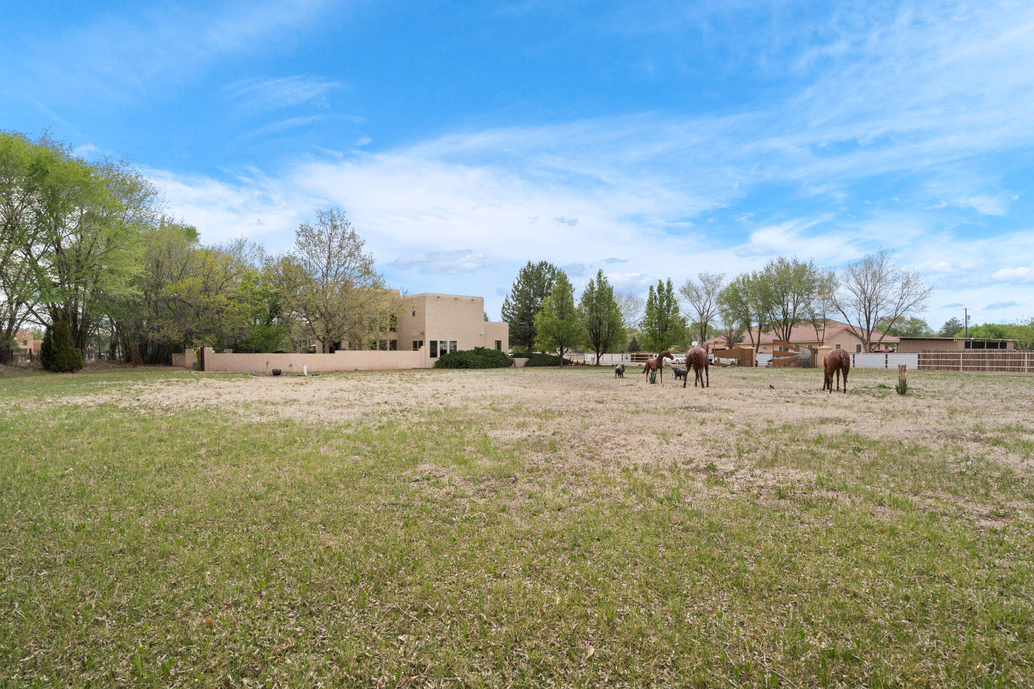 203 N Felice Perea Road