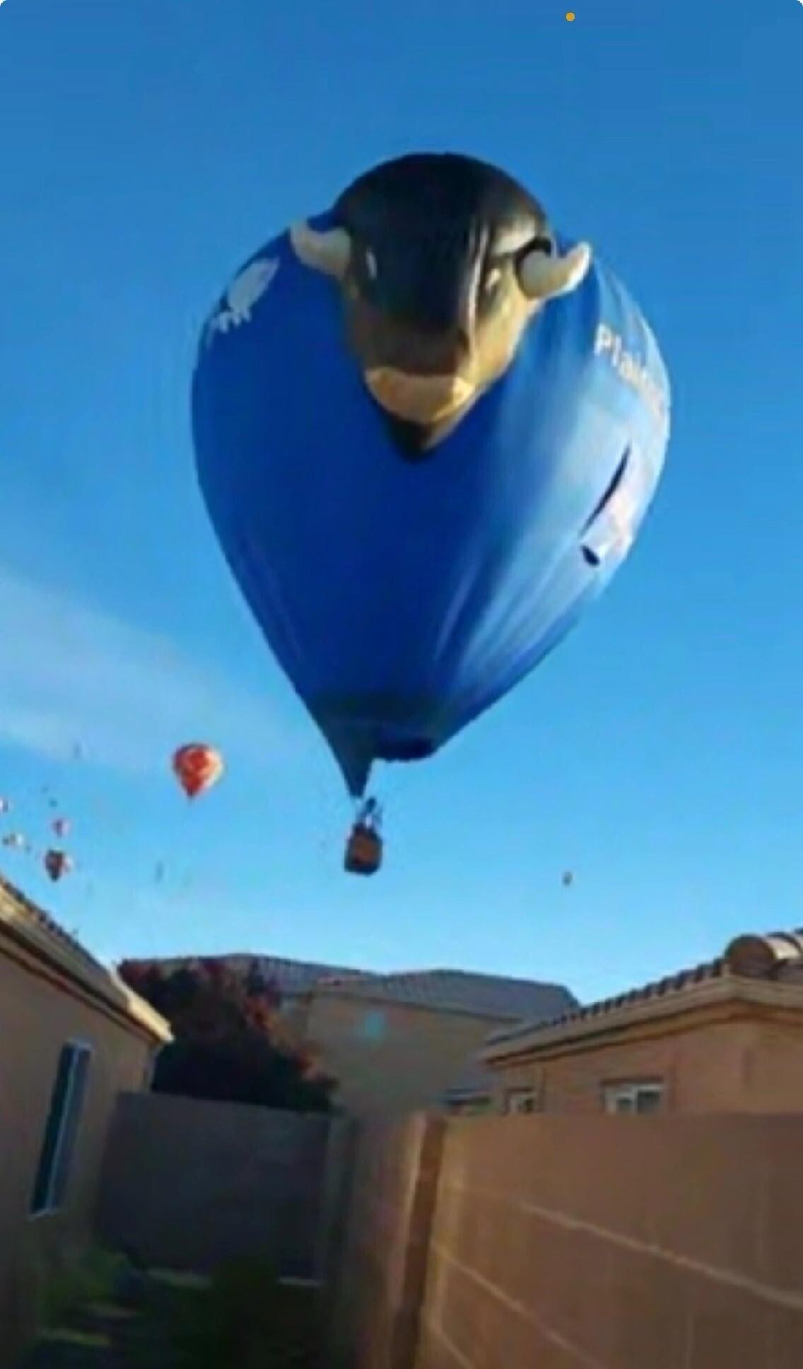 7200 Villa Tulipan NE