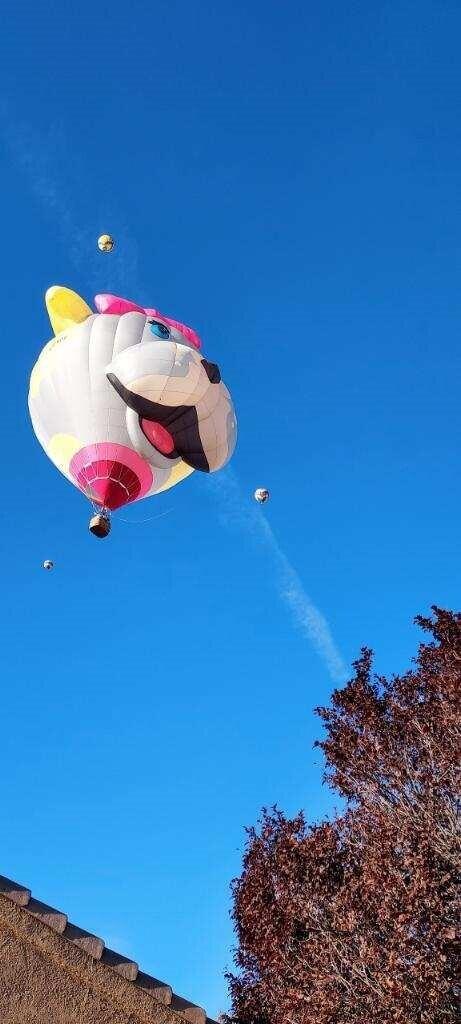 7200 Villa Tulipan NE