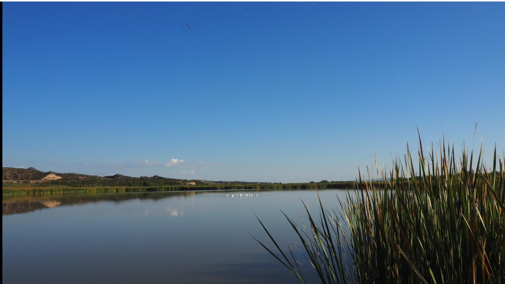 Off Of Bosquecito Street