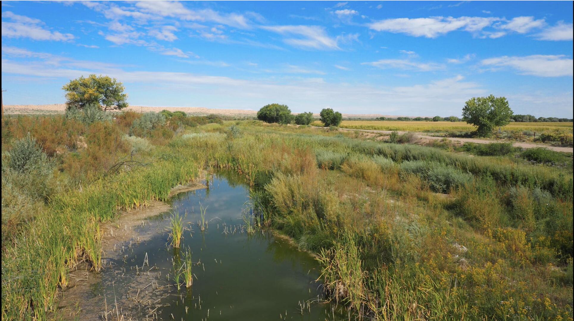 Off Of Bosquecito Street