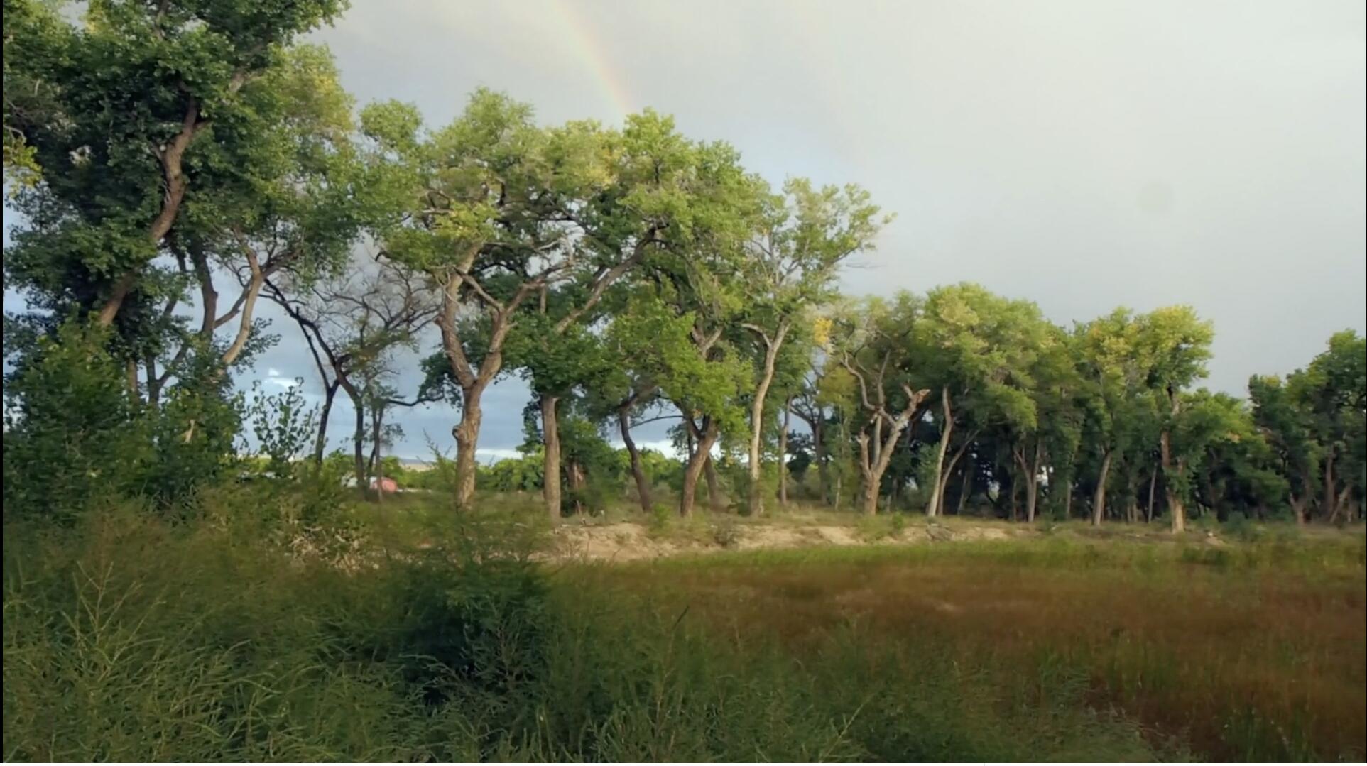 Off Of Bosquecito Street